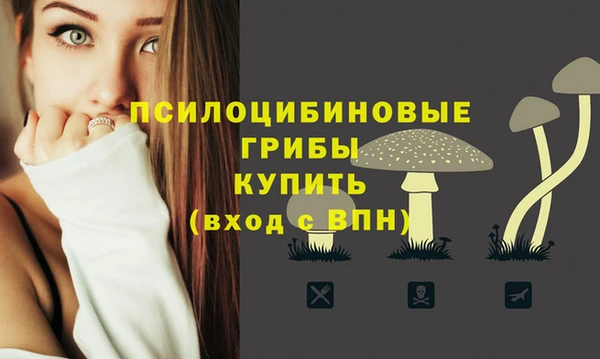 амф Аркадак