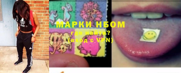 стафф Осташков