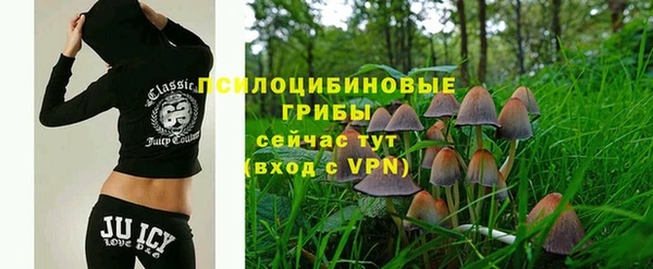 амф Аркадак